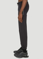 Honey Fucking Dijon Logo Print Track Pants