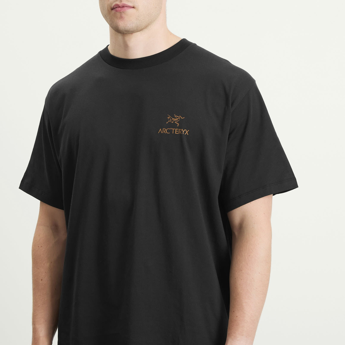 Arc'teryx Men's Kragg SL Cotton Bird Word T-Shirt in 24K Black