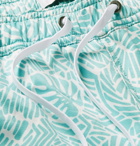 Onia - Charles Mid-Length Printed Swim Shorts - Men - Light blue