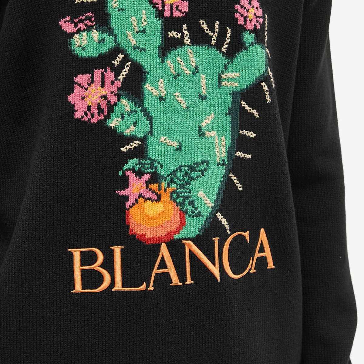 Casablanca Men's Cactus Intarsia Crew Knit in Black Casablanca