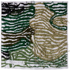 Luna Del Pinal White & Green Flower Topographic Cushion Cover