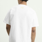 Arc'teryx Men's Kragg Cotton Lithographica T-Shirt in White Light