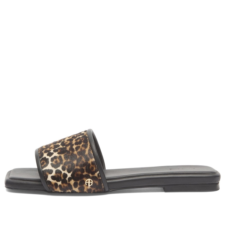 Photo: Anine Bing Women's Ria Slides in Leopard