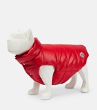 Moncler Genius - x Poldo Dog Couture dog coat