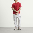 Champion Men's Reverse Weave Relaxed T-Shirt in Washed Red