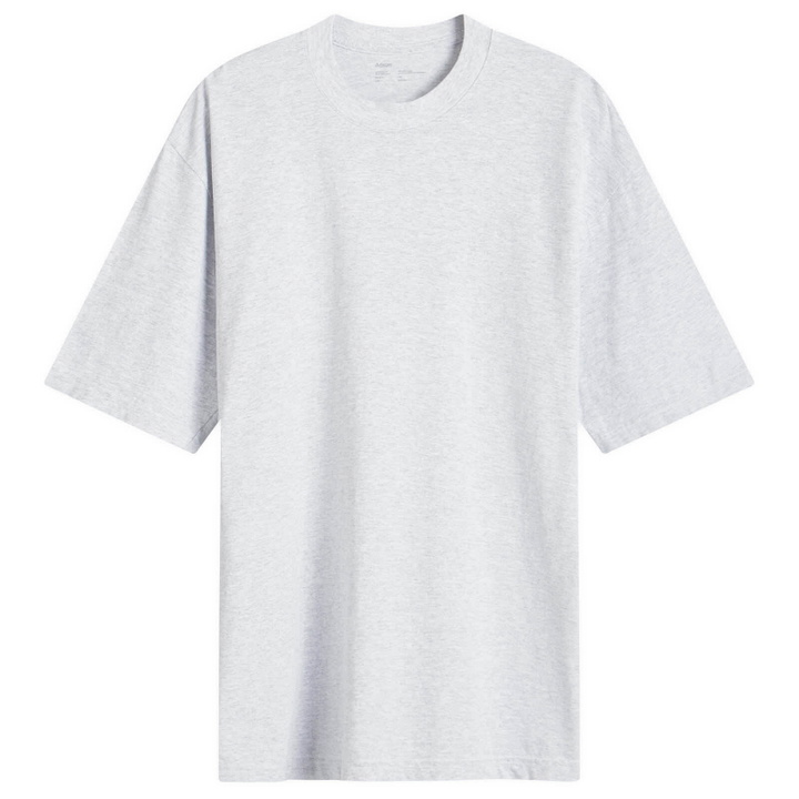 Photo: Adsum Men's Lily T-Shirt in Grey