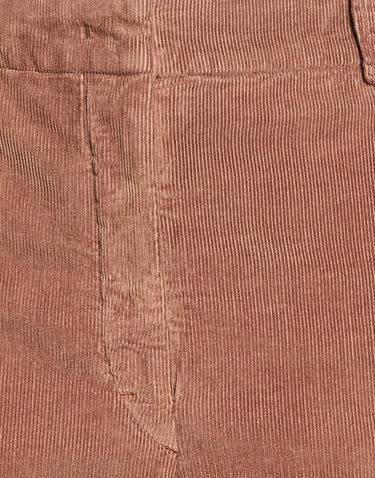 Incotex Womens Pants in Brown