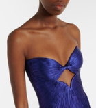 Maria Lucia Hohan Stephanie tulle bustier gown