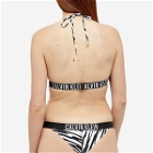 CK Swim Women's Fixed Triangle Bikini Top in Ip Zebra Aop