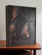 Assouline - Horses From Saudi Arabia Hardcover Book