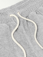 CELINE - Straight-Leg Webbing-Trimmed Logo-Embroidered Cotton-Blend Velour Track Pants - Gray