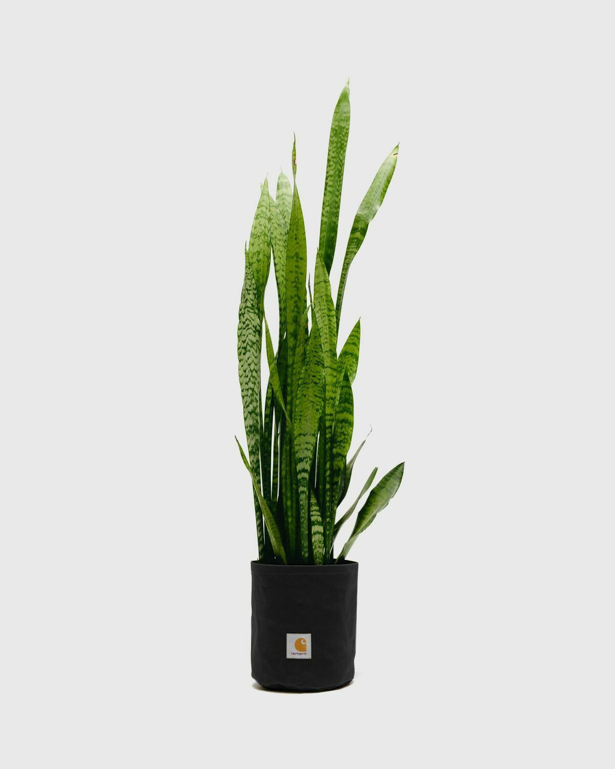 小物 wip carhart wip GROUNDWORKS PLANTER SET Carhartt Wip Groundworks Planter Set Black Home Deco