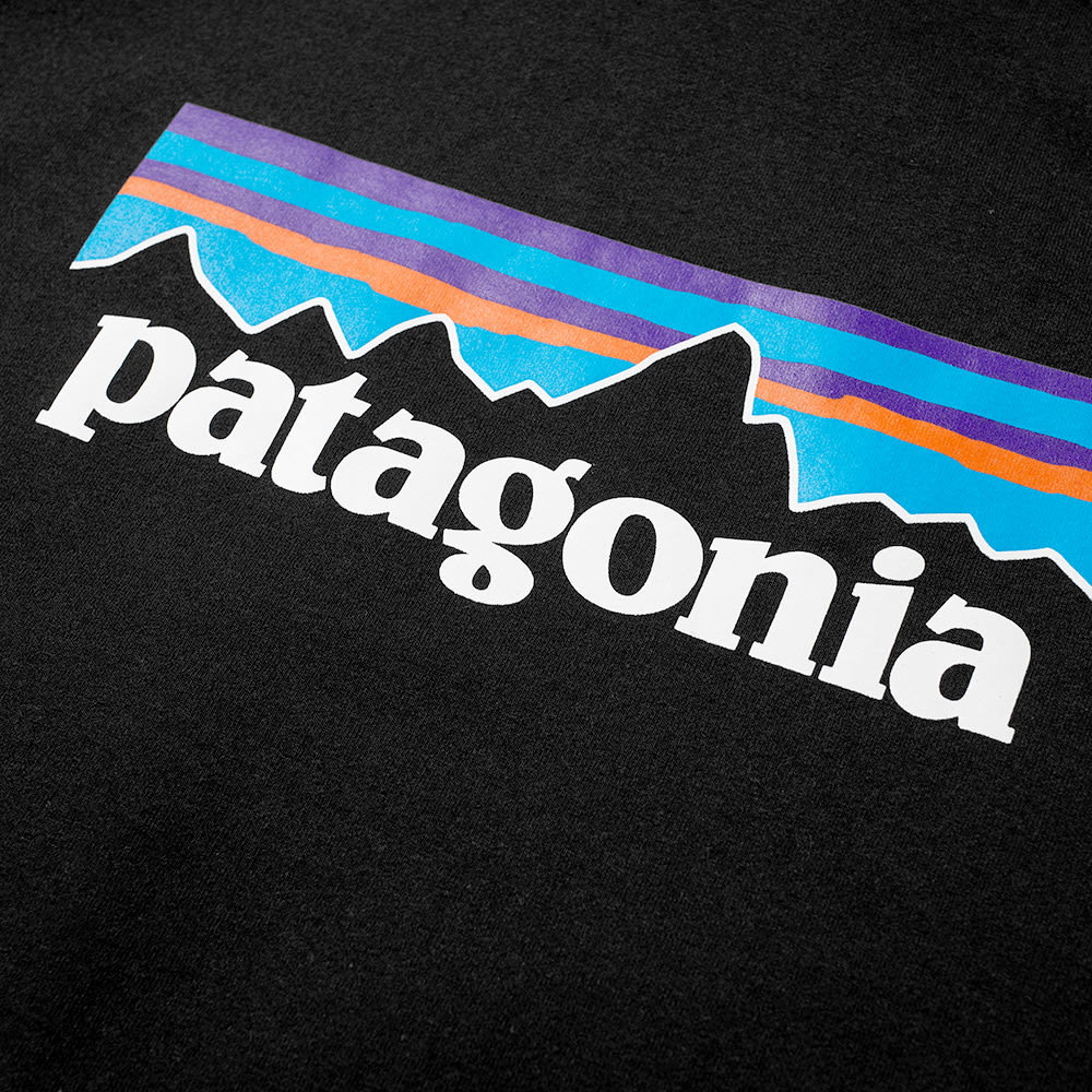 Patagonia Lightweight Better Sweater Hoody Patagonia