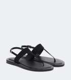 A.Emery Somerset suede thong sandals