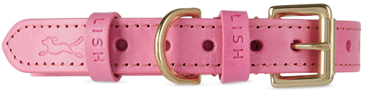 Photo: LISH Pink Medium Coopers Collar