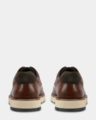 Steve Madden Federo Casual Shoes in Cognac