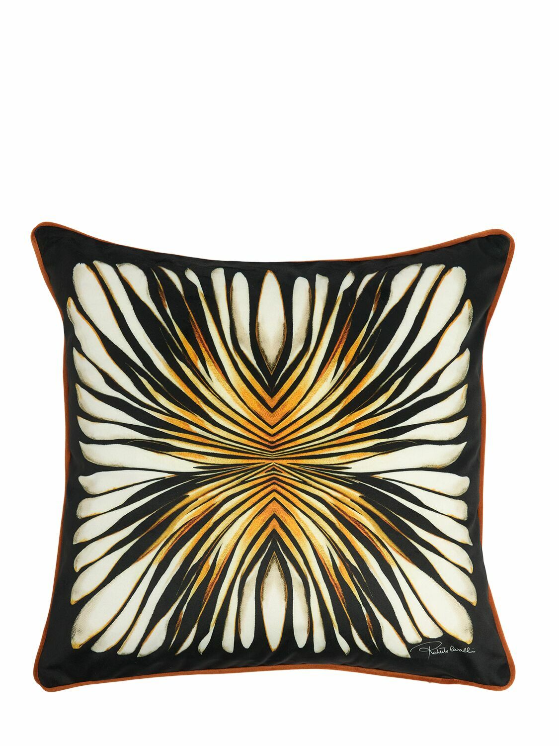 ROBERTO CAVALLI Ray Of Gold Velvet Cushion