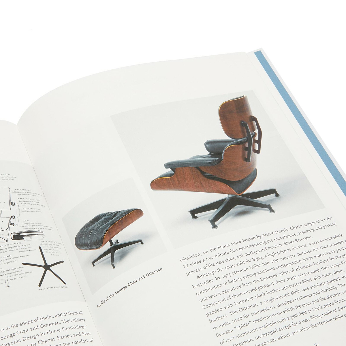 Taschen Eames in Gloria Koenig 