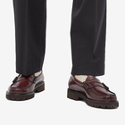 Bass Weejuns Men's Larson 90s Loafer in Wine Leather