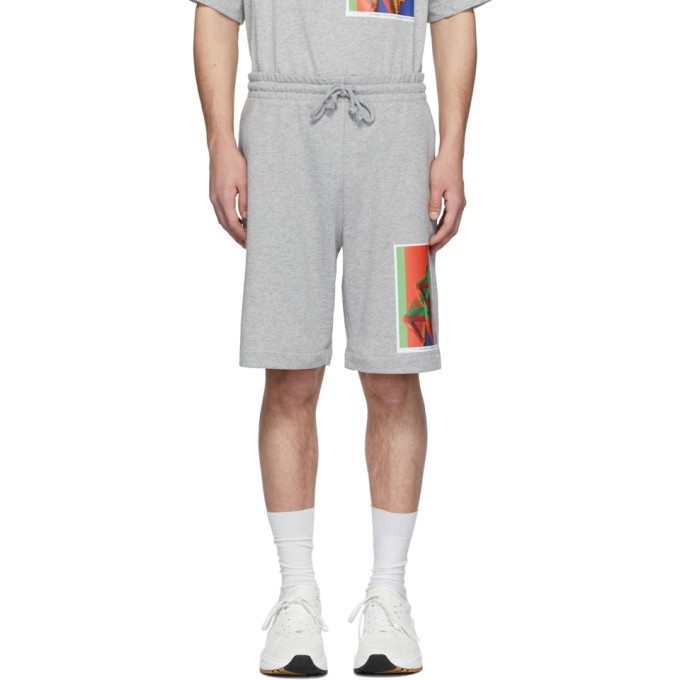 Photo: Dries Van Noten SSENSE Exclusive Grey Mika Ninagawa Edition Habda Shorts