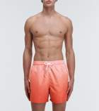 Derek Rose - Swim shorts