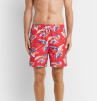 NN07 - Jules Printed Swim Shorts - Red