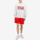 Tommy Jeans Men's Archive Games Team USA Sweatshirt in Silver Grey Htr