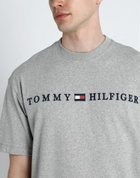 Tommy Hilfiger Mens T-shirt in Grey