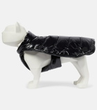 Moncler Genius - 6 Moncler 1017 ALYX 9SM dog coat