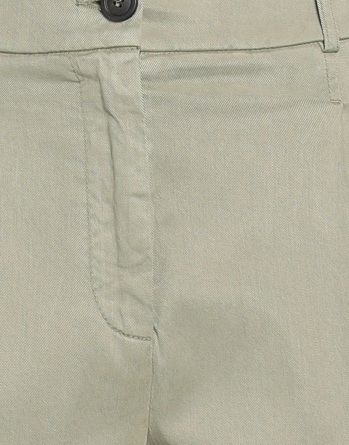 Peserico Womens Pants in Sage green