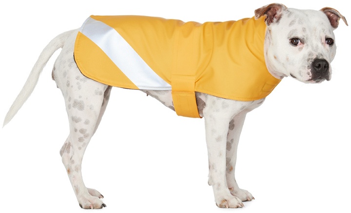 Photo: Stutterheim SSENSE Exclusive Yellow Dog Raincoat
