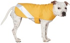 Stutterheim SSENSE Exclusive Yellow Dog Raincoat