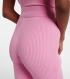 Courrèges Belted ribbed-knit capri pants