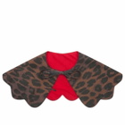 Damson Madder Women's Novelty Wastage Dog Collar in Leopard 