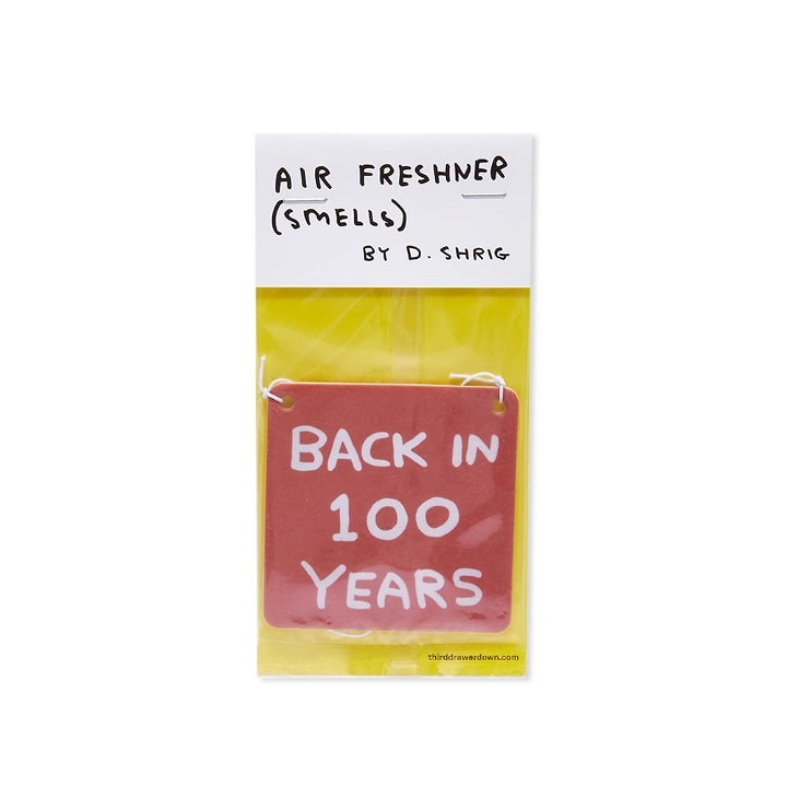 Photo: David Shrigley  Back in 100 Years Air Freshener