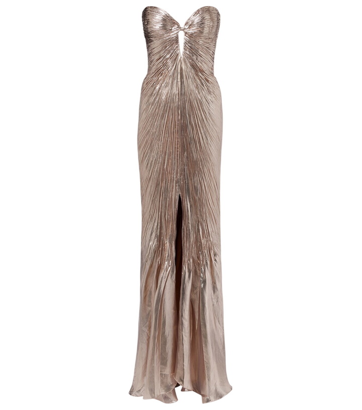 Photo: Maria Lucia Hohan Mirren silk-blend chiffon bustier gown