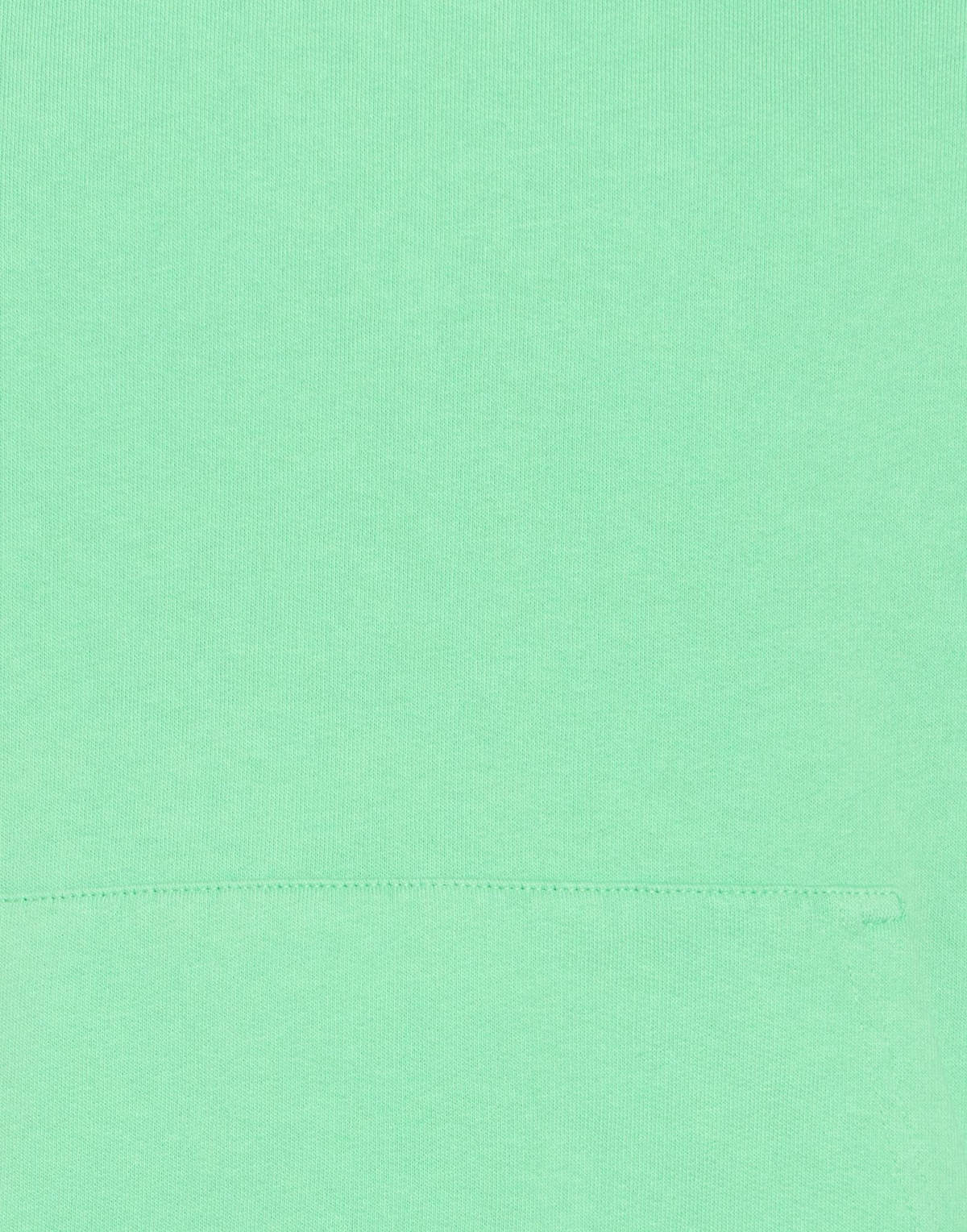 Colorful Standard Mens Sweatshirt Light in Green
