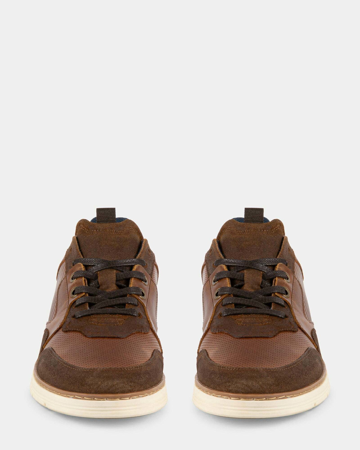 Steve Madden Banks Casual Shoes in Cognac