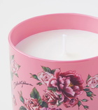 Dolce&Gabbana Casa Rosa Moschata scented candle