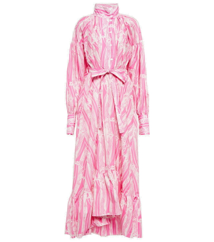 Photo: Patou Printed cotton maxi dress