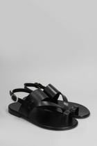 Giuseppe Zanotti Sandals In Black Leather