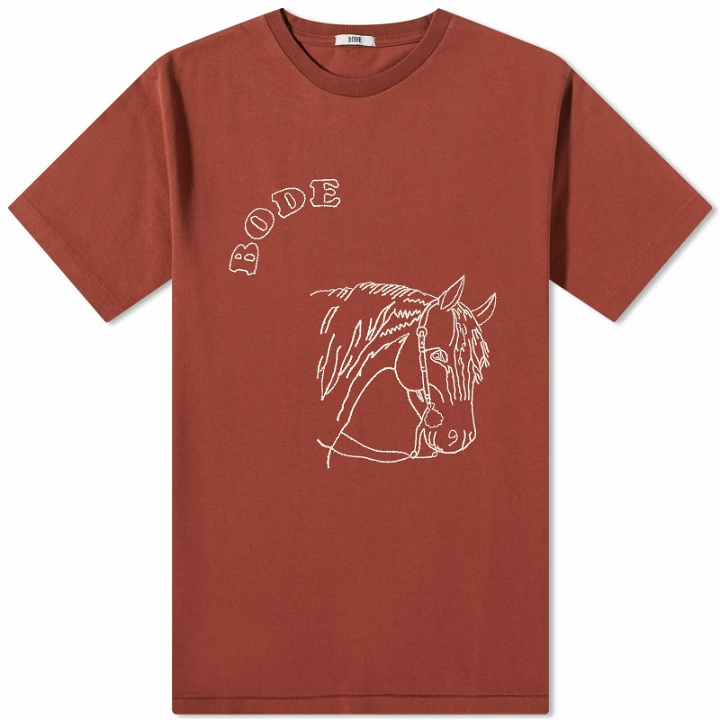 Photo: Bode Men's Embroidered Pony T-Shirt in Brown