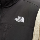 The North Face Men's Denali 2 Popover Hooded Fleece in Gravel