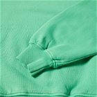 Colorful Standard Organic Oversized Hoody in Spring Green