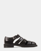 Steve Madden Havana Sandals in Black