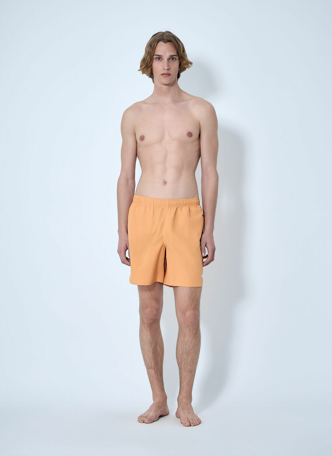 Stüssy Water Stock Shorts