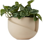 Light and Ladder Beige Vayu Planter