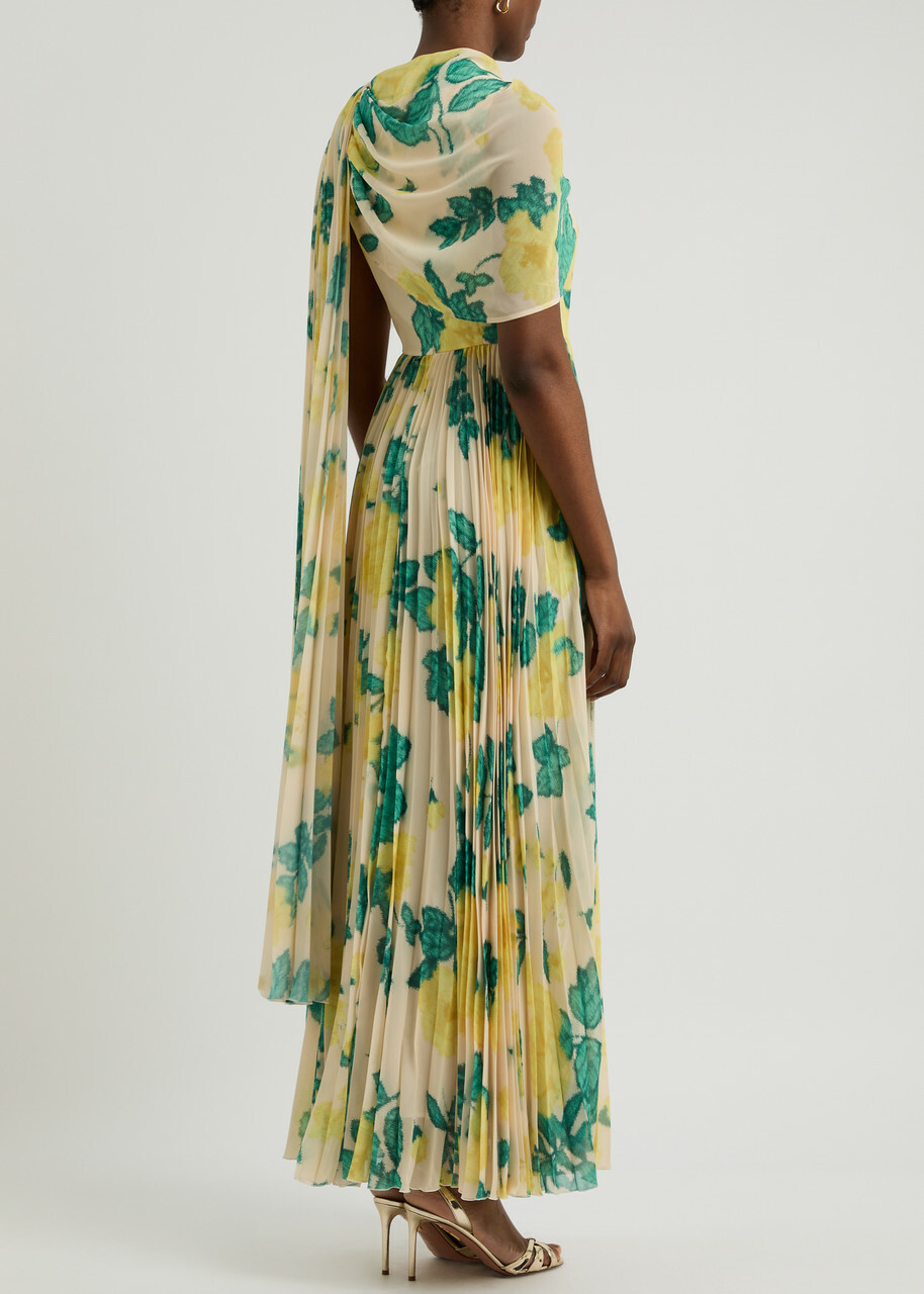 Huishan Zhang Alara Floral-print Chiffon Maxi Dress Yellow