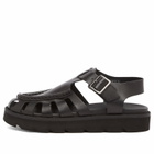 Clarks Originals Women's Meadow Buckle Sandal in Black Leather