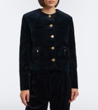 Blazé Milano Shamo cotton velvet jacket